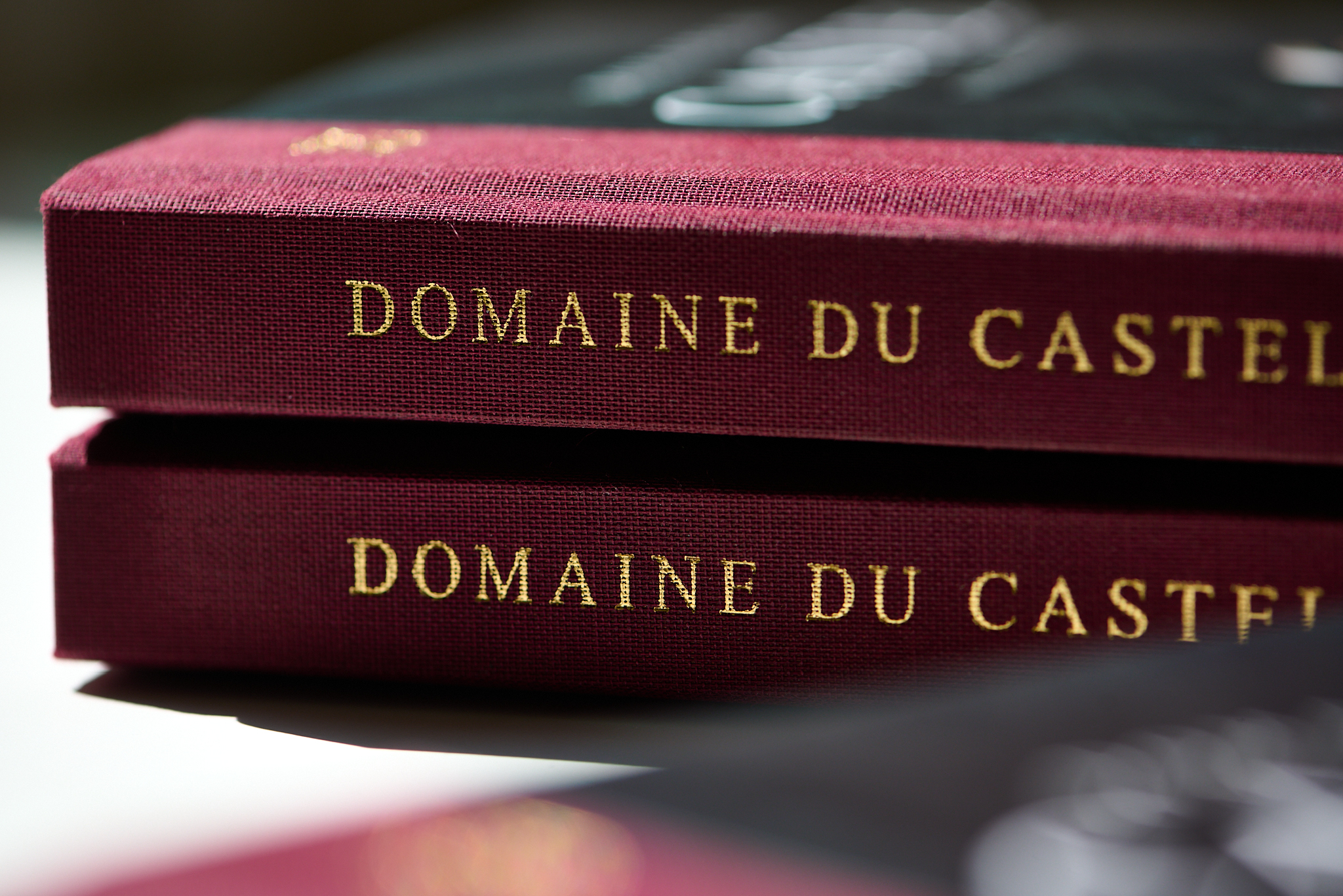 castel-book2