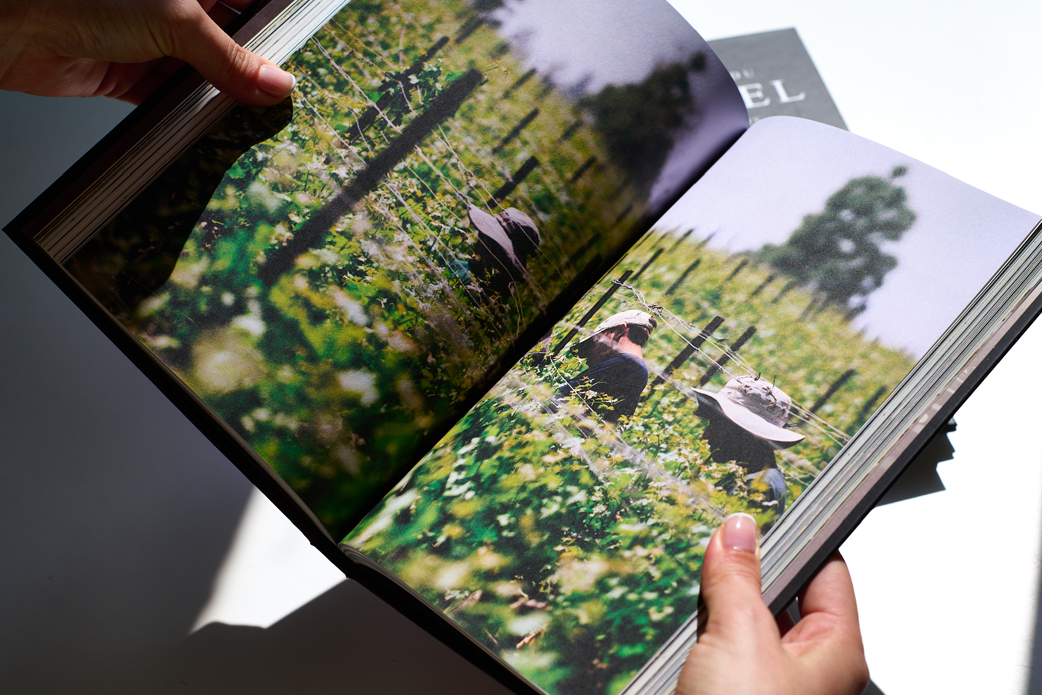 castel-book4
